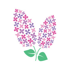 pink, violet lilac flower- vector illustration