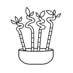 lucky bamboo sticks- vector illustration