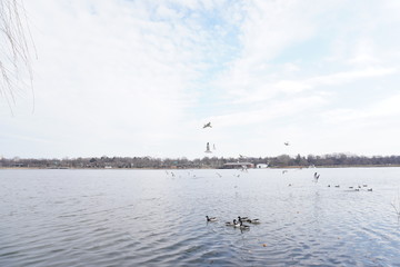 lake in winter