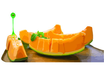 Vector illustration of orange sweet melon on white background.