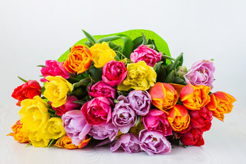on white background a bouquet of tulips closeup