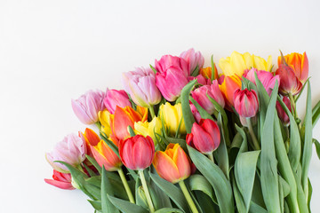 on white background bouquet of multicolored tulips