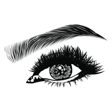 Illustration with woman's eye, eyelashes and eyebrow. Makeup Look. Tattoo design. Logo for brow bar or lash salon.