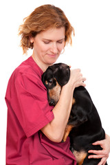 Veterinary doctor carefully holds dog dachshund dog in hands isolated on white