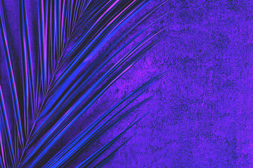 Closeup of palm leaf in vibrant holographic neon colors. Tropical conceptual luxury elegant trendy...