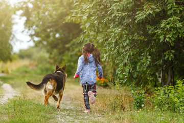 Pretty little girl, Gives a command to sit to german shepherd dog.