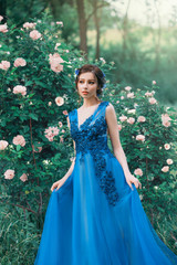 Cute face queen blossom wild rose bush. hold dress hands. Mysterious fairy forest. long blue...