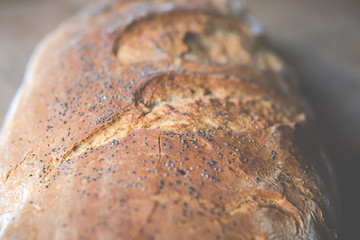 close up of a bread