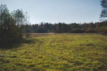 empty meadow in autumn