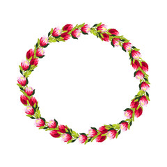 Vector wreath design with pink protea flowers.