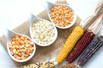 natural corn cob colored and shelled