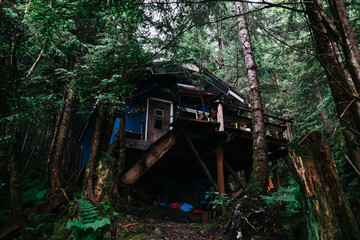 Wood cabin in the forest