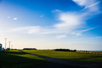 Wallpaper, grass field in Kent, UK