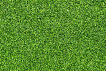 Obraz premium Top view of the green lawn grass. Modern trendy abstract natural texture background