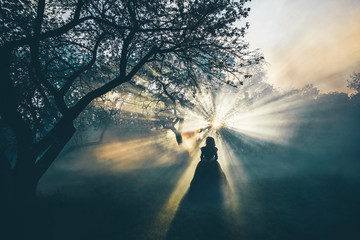 Woman in black in the foggy forest - gothic style.