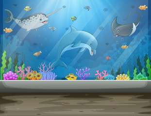 Underwater museum with fishes and algae big aquarium tank © dreamblack46