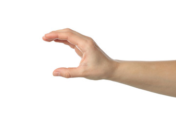 Female hand isolated on white background. Gestures