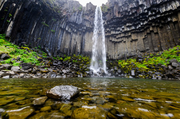 Fototapeta premium Svartifoss waterfall among basalt columns in summer