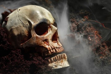 Skull of a dead man in on the ground