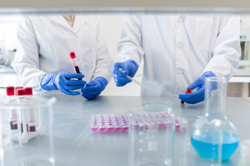 Fototapeta premium Two unrecognizable pharmacologists wearing protective white coats and gloves working together on new vaccine in modern laboratory