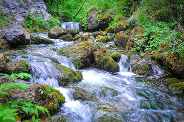 Mountain stream deep in the woods. A view of a mountain stream in The Choč Mountains, Slovakia. Fast water stream in wild mountain creek with wet stones. Spring green nature. 