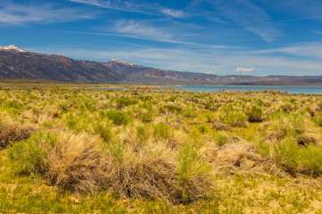 Area around Mono Lake, rock formations and vegetation, California, USA.