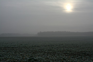 frosty morning with fog in rural area in Germany