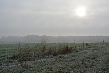 frosty morning with fog in rural area in Germany