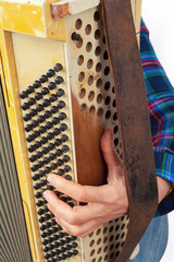 The musician playing the accordion