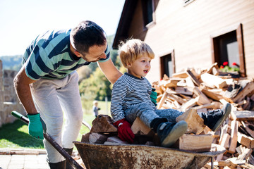 A father and toddler boy outdoors in summer, working with firewood.