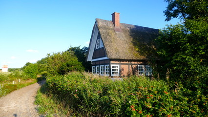 Fototapeta na wymiar Small cottage with thatched roof between rose hedges by the sea