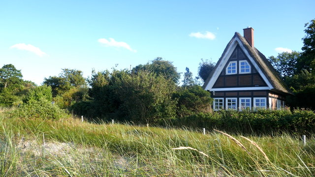 Small cottage with thatched roof between rose hedges by the sea