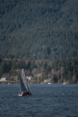 Sailing boat in the sunshine coast with big snowy mountains in the back