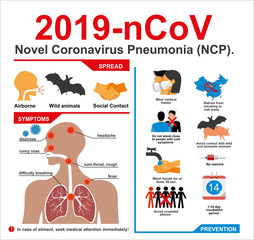 Fototapeta premium 2019-nCoV. Novel Coronavirus Pneumonia (NCP). 2019-nCoV disease prevention infographic with icons and text, healthcare and medicine concept. Flu spreading of world, SARS pandemic risk alert. Vector.