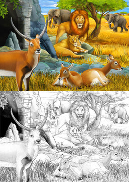cartoon sketch and color safari scene with family of antelopes lion and elephant on the meadow illustration for children
