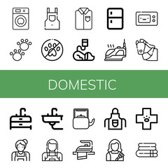 domestic icon set