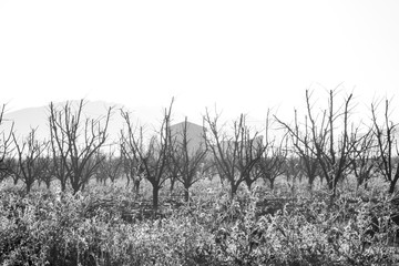 Parajes rurales de invierno