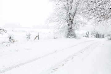 English countryside in winter