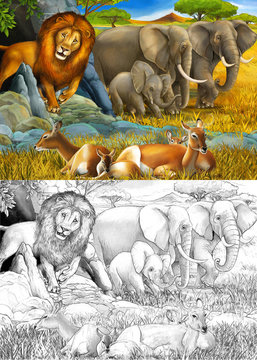 cartoon sketch and color scene with elephant antelope and lion on the meadow resting illustration for children
