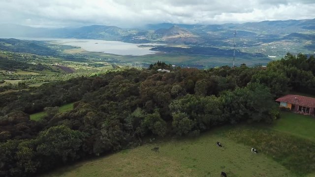Aerial shot of a house and cows with an amazing landscape of a lake, surrounded by huge mountains, on a sunny day in Cundinamarca, Colombia. Tomine and guatavita dam. 4k drone.