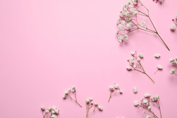 Fototapeta na wymiar Beautiful floral composition with gypsophila on pink background, flat lay. Space for text