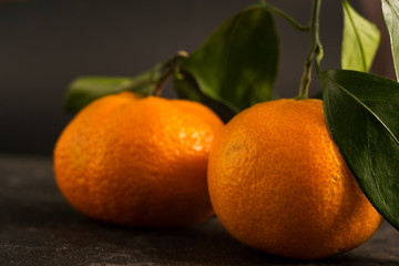 Orange tangerines on a black background. There is a place for text.