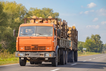 Timber truck with a forest rides on the highway with cargo