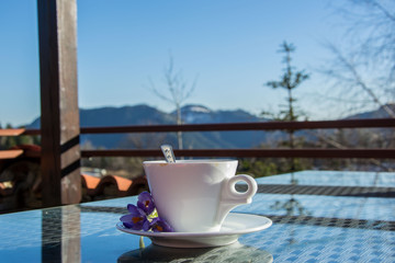 A cup of coffee outdoors, close-up of a hot beverage and tiny purple flowers - saffron, crocus sativus, and mountain in the background 