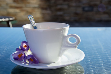 A cup of coffee outdoors, close-up of a hot beverage and tiny purple flowers - saffron, crocus sativus, and mountain in the background 