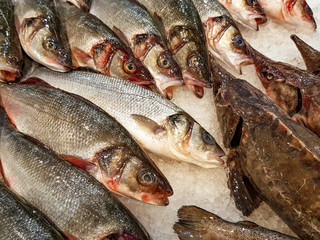 A lot of fresh raw fish on store shelve with ice