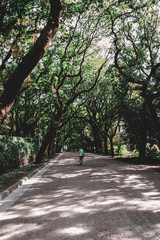 Paseo por el bosque