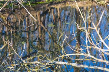Spring flood.