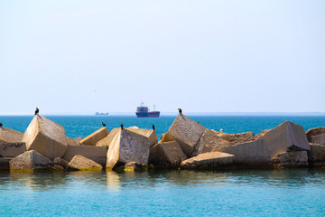 Seagulls on square stones in a turquoise sea and a ship on the background