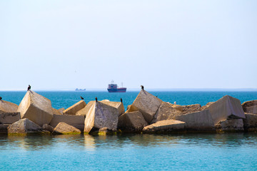 Seagulls on square stones in a turquoise sea and a ship on the background © photos_adil